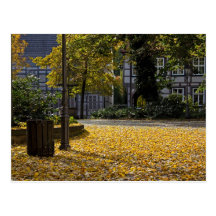 Tag 050: Münsterkirchplatz im Herbst Postkarten