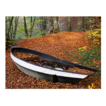 Tag 072: Waldboot Postkarten