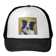 Taj - arte del border collie gorro de camionero