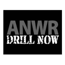 Taladro de ANWR ahora Tarjetas Postales
