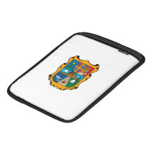 Tamaulipas Fundas Para iPads