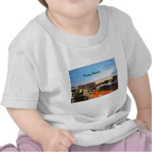 Tampa la Florida Camisetas