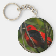 Tanager de escarlata llavero