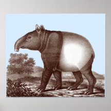 Tapir asiático - color de fondo cambiable y de la  poster