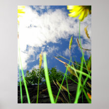 Tarde Brights Poster