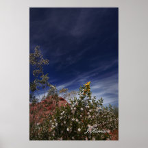 Tarde de Arizona Poster