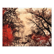 Tarde de octubre, decoración de la caída impresiones fotográficas