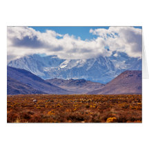 Tarde del desierto tarjeta