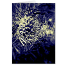 Tarjeta 4 del árbol de hoja perenne 6