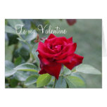 TARJETA a mi tarjeta del día de San Valentín tarjetas