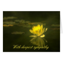 Tarjeta amarilla de la condolencia de Waterlily