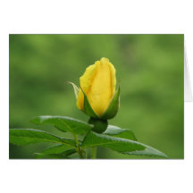 Tarjeta amarilla del capullo de rosa