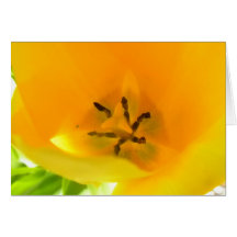 Tarjeta amarilla del tulipán