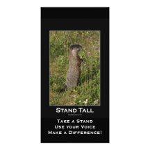 Tarjeta Amarillo-Hinchada de la marmota Tarjetas Con Fotos Personalizadas
