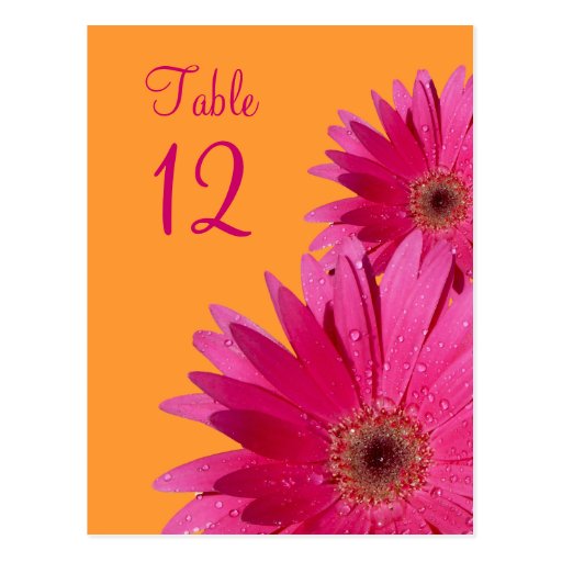 Tarjeta anaranjada y rosada del número de la tabla postal