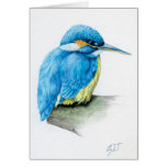 Tarjeta azul de la bella arte del martín pescador
