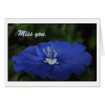 Tarjeta azul de "Srta. You"