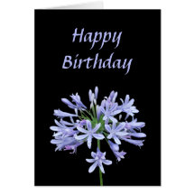 Tarjeta azul del negro del Agapanthus