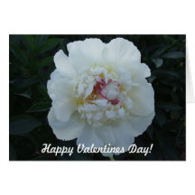 Tarjeta blanca de la flor de los Peonies del día d