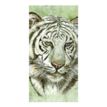 Tarjeta blanca de la foto del tigre tarjetas fotograficas 