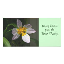 Tarjeta blanca de la foto del tulipán tarjetas fotograficas personalizadas