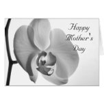 Tarjeta blanca del día de madres de la orquídea