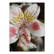 Tarjeta blanca/rosada del feliz cumpleaños de la f