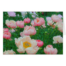 Tarjeta, 'CAMPO de PEONIES EN COLORES PASTEL "