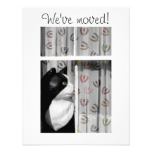Tarjeta casera de la invitación del gato de la ven
