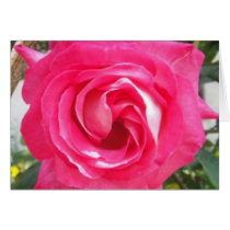 Tarjeta color de rosa grande tarjetas