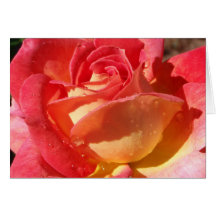 tarjeta color de rosa salvaje