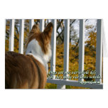 Tarjeta de condolencia canina