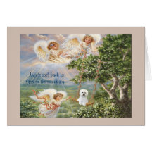 Tarjeta de condolencia de Bichon Frise