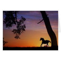 Tarjeta de condolencia del caballo