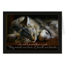 Tarjeta de condolencia del gato del mascota, pérdi