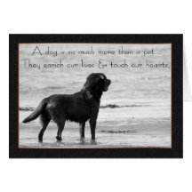 Tarjeta de condolencia del perro casero - toque nu