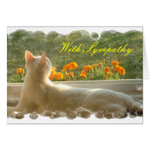 Tarjeta de condolencia felina