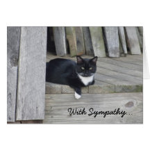 Tarjeta de condolencia -- Pérdida de gato