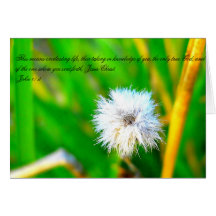 Tarjeta de Creeklove Encouragment del 17:3 de Juan