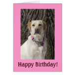 Tarjeta de cumpleaños amarilla rosada del laborato