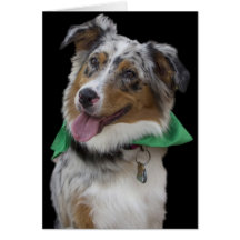 Tarjeta de cumpleaños australiana del perro de pas