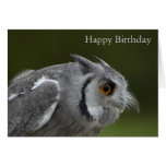 Tarjeta de cumpleaños - búho del gris del bebé