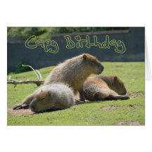 Tarjeta de cumpleaños con el Capybara