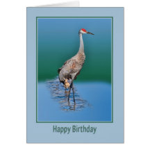 Tarjeta de cumpleaños con la grúa de Sandhill del 