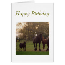 tarjeta de cumpleaños con los caballos y el tracto