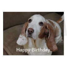 Tarjeta de cumpleaños de Basset Hound