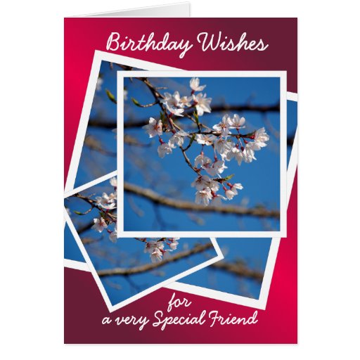 Tarjeta de cumpleaños de la cereza floreciente