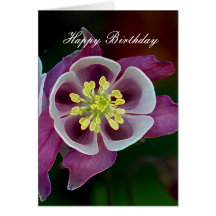 Tarjeta de cumpleaños de la flor del jardín