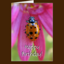 Tarjeta de cumpleaños de la mariquita tarjetas