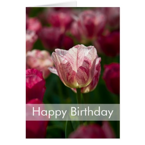 Tarjeta de cumpleaños de los tulipanes el | Geburt